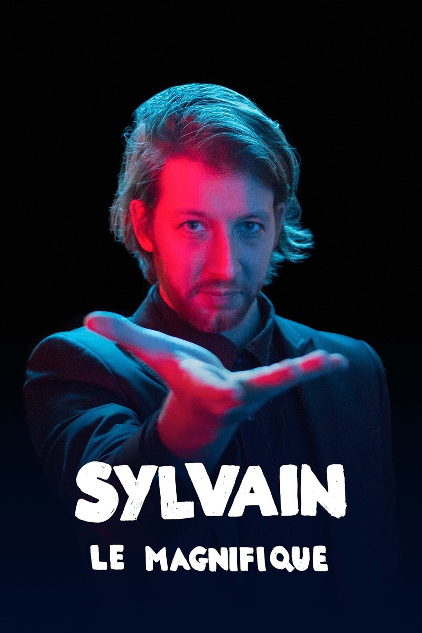 Poster de Sylvain le magnifique