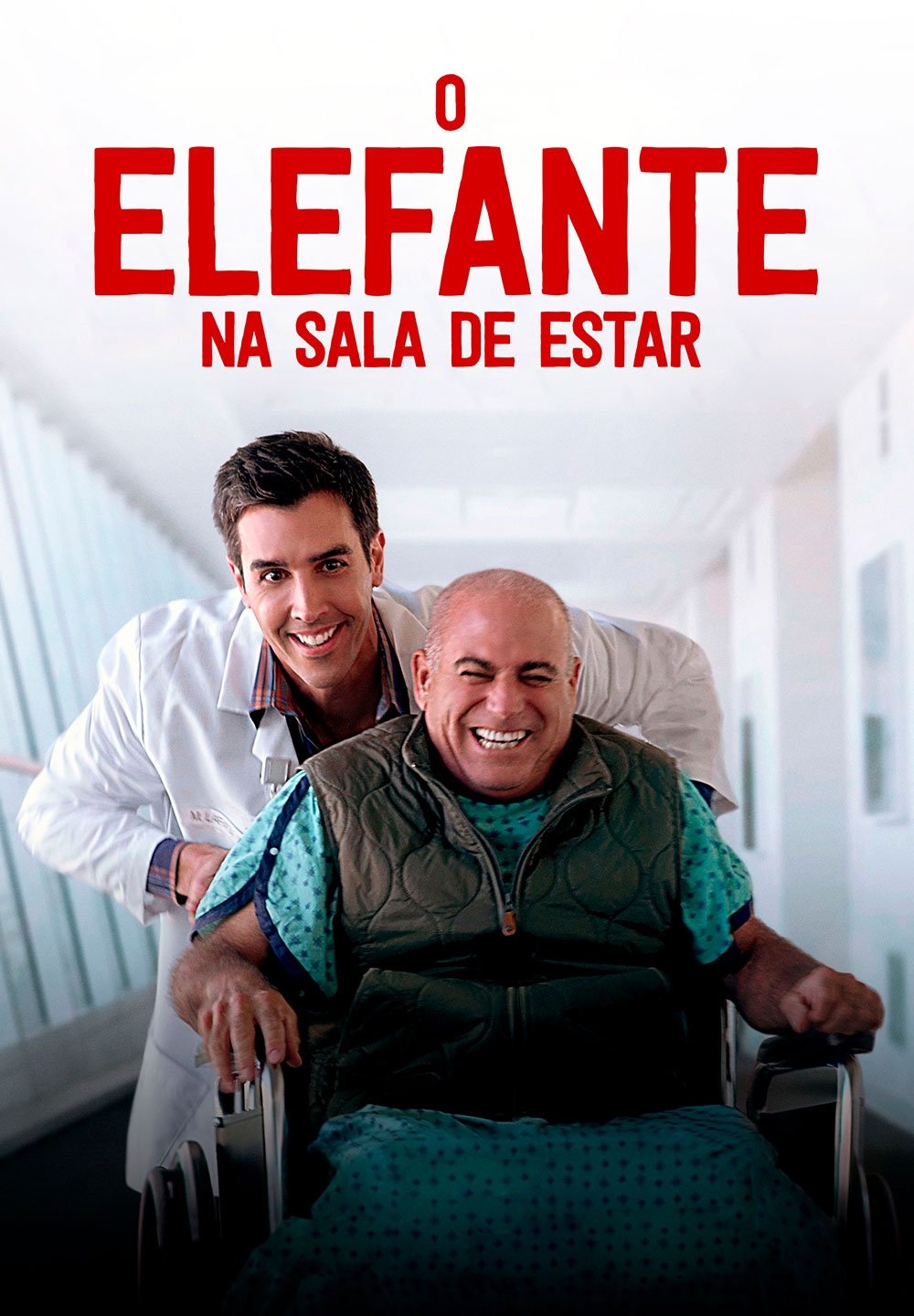 Poster de O Elefante na Sala de Estar