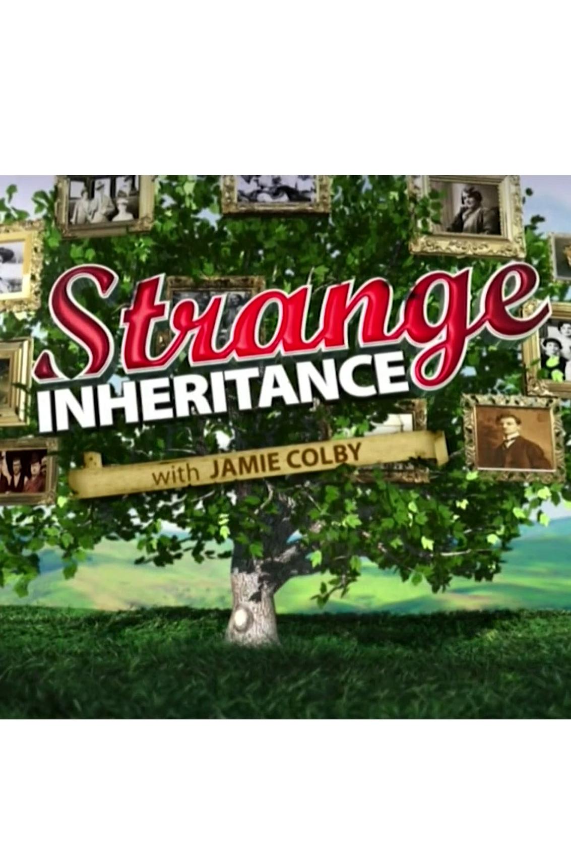 Poster de Strange Inheritance