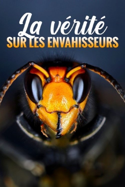 Poster de La vérité sur les envahisseurs