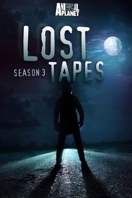 Poster de Temporada 3
