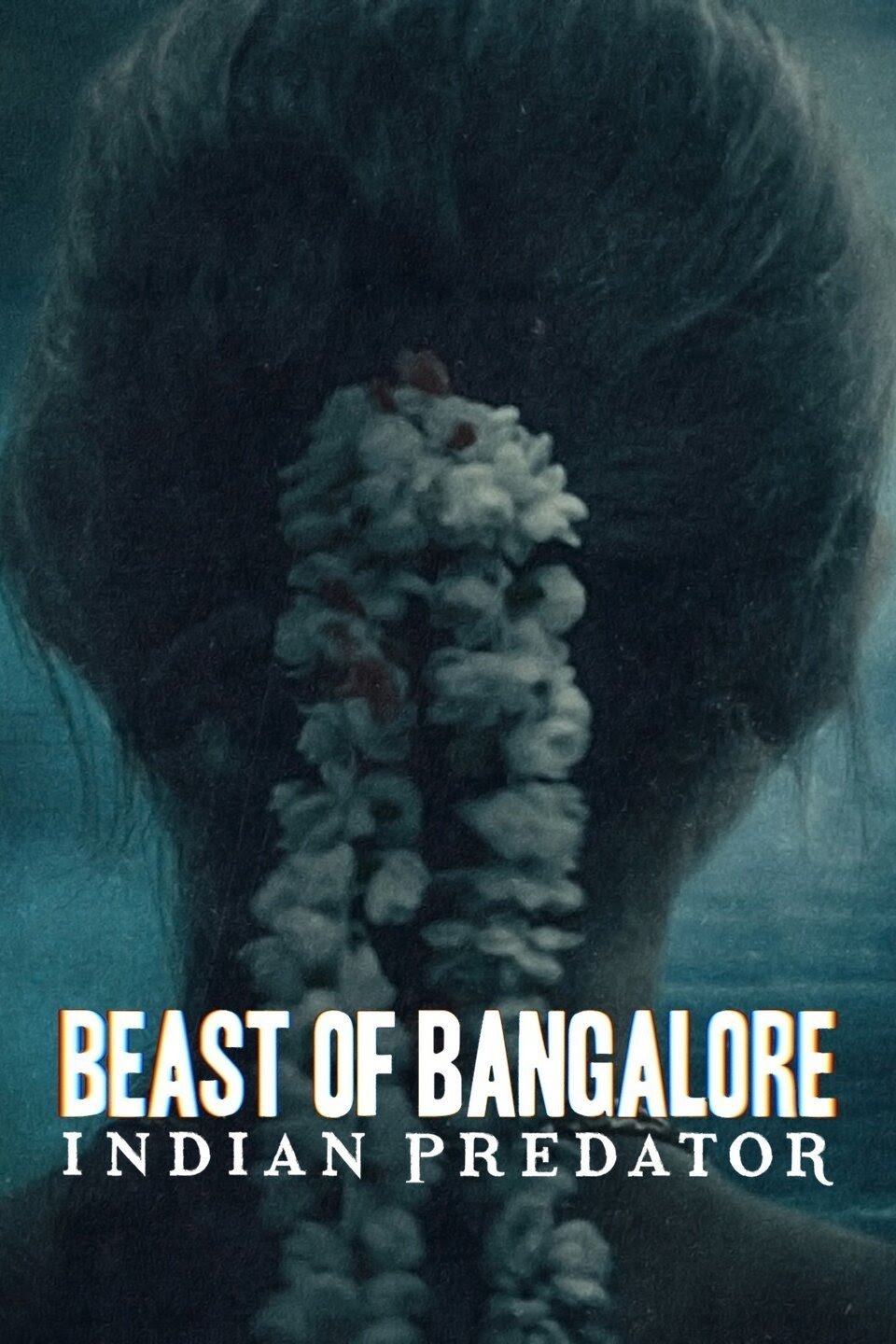 Poster de Assassinos Indianos: O Monstro de Bangalore