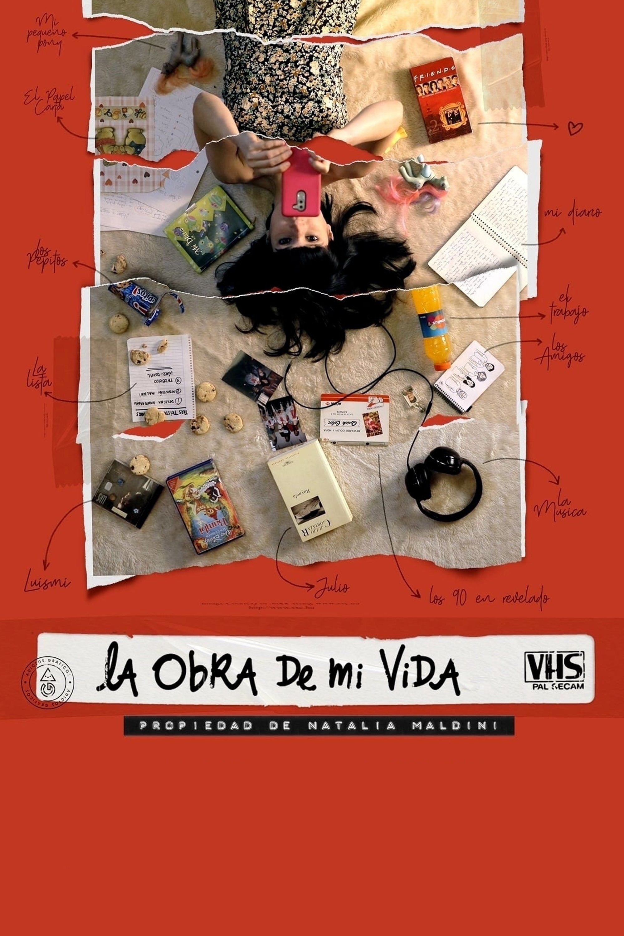 Poster de La obra de mi vida