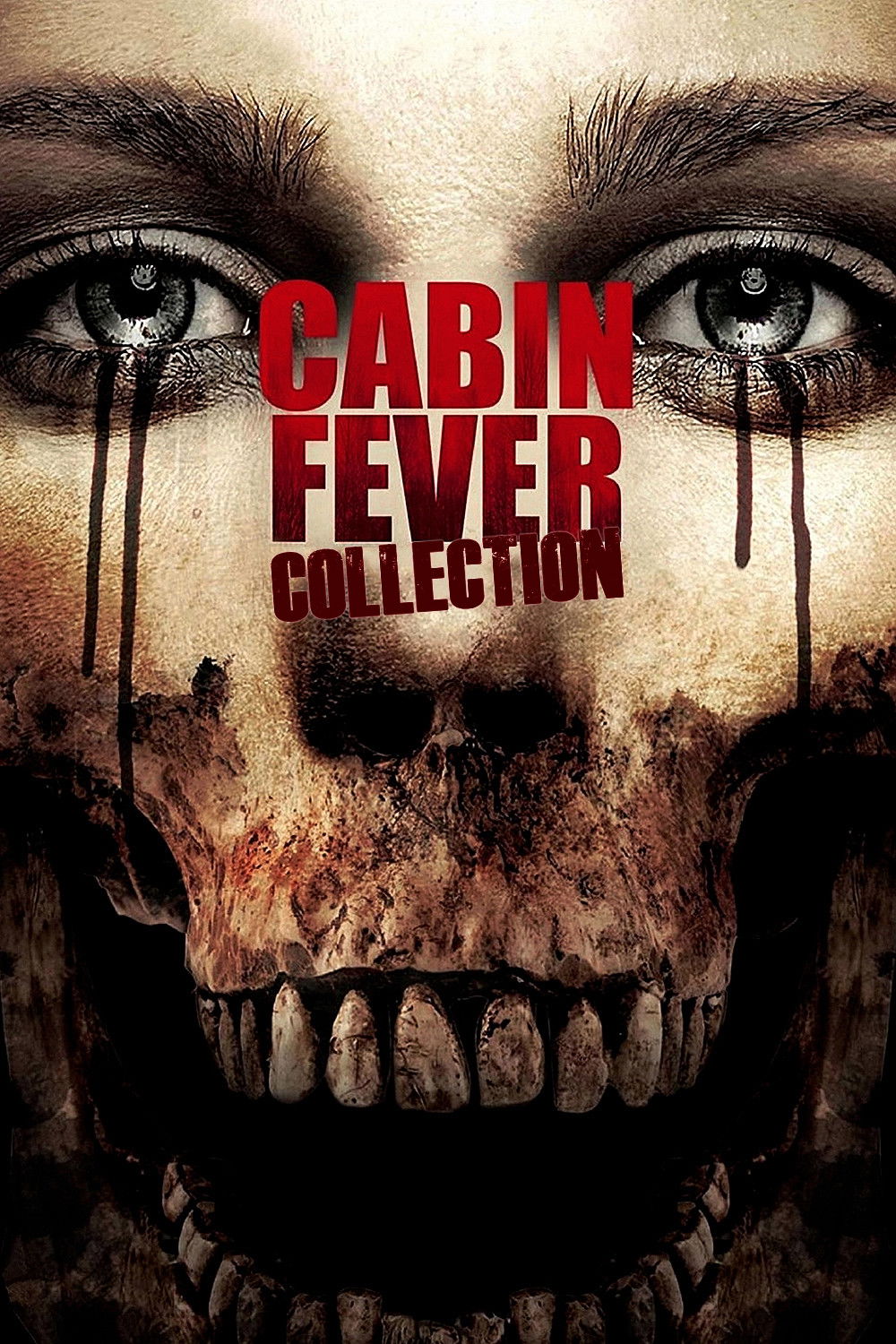 Poster of Cabin Fever Collection