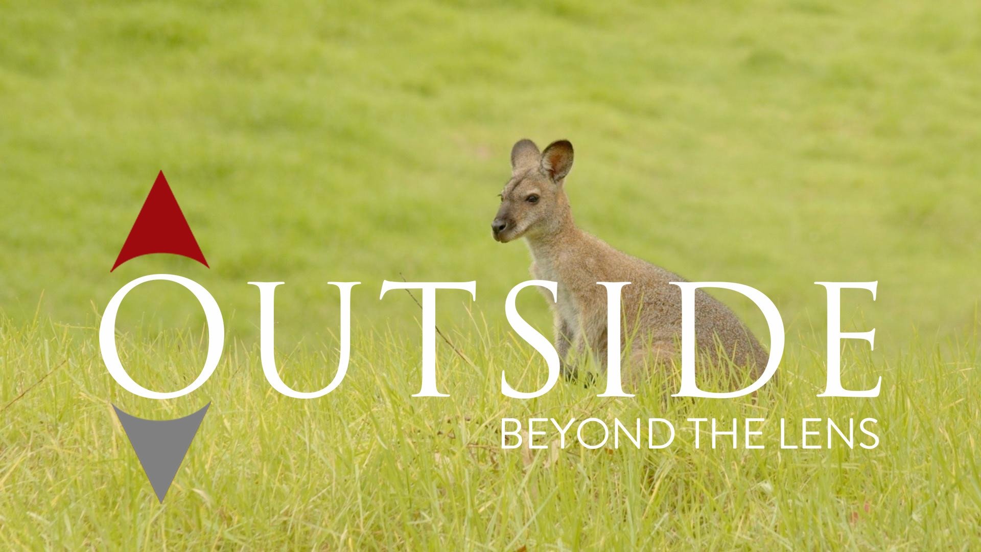 Outside Beyond the Lens