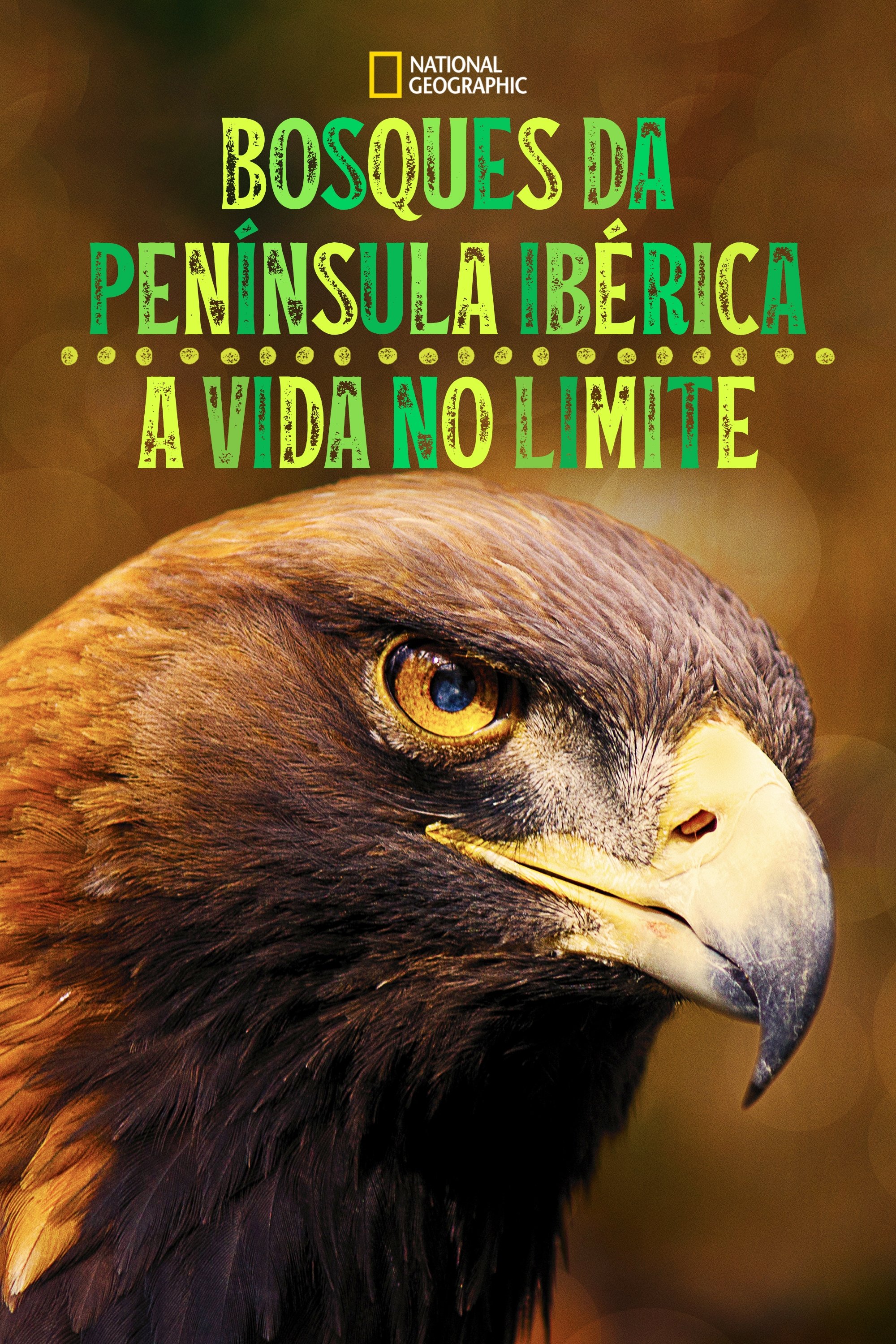 Poster de Bosques da Península Ibérica: A Vida no Limite