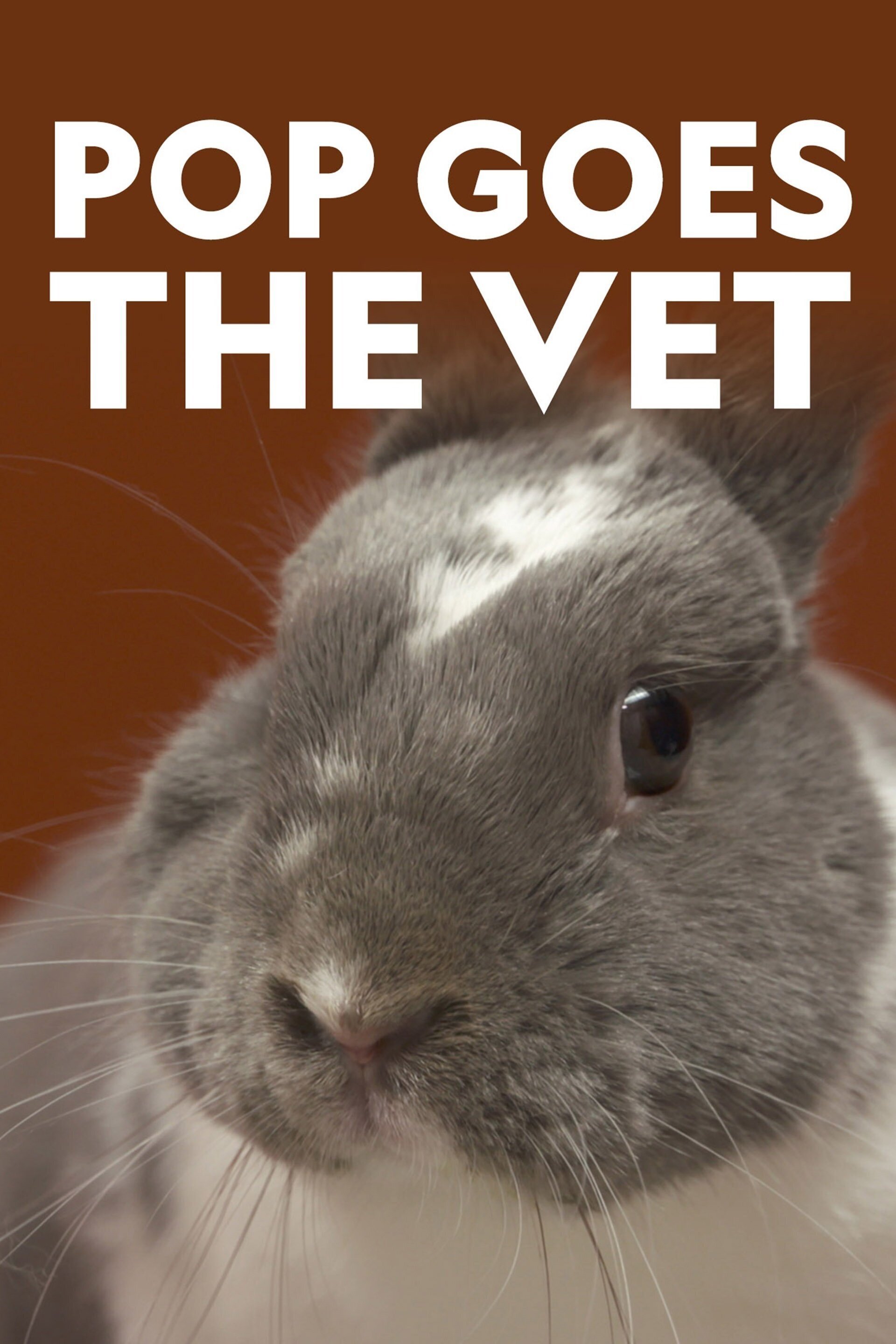 Poster de Pop Goes the Vet
