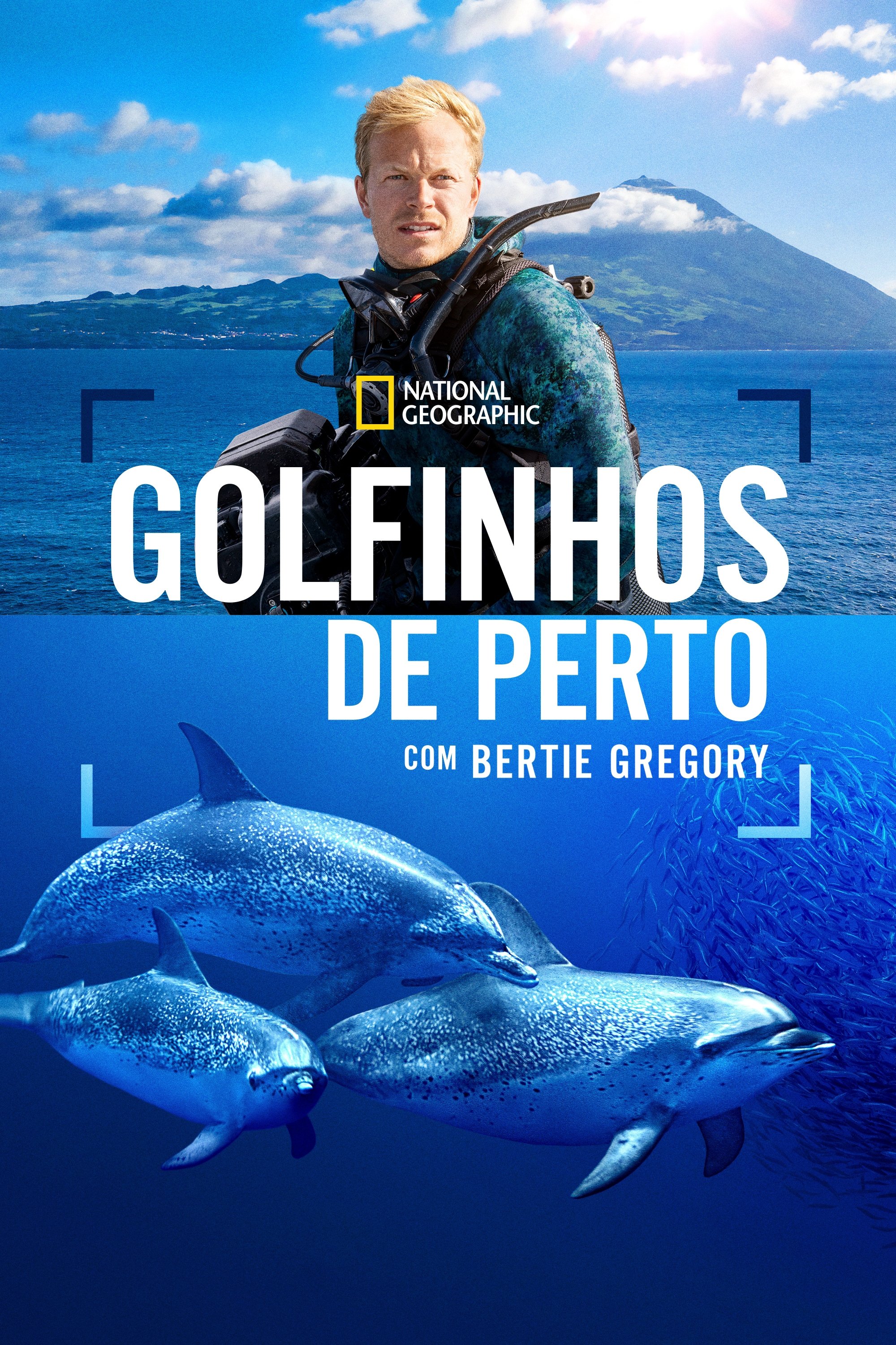 Poster de Golfinhos de Perto com Bertie Gregory