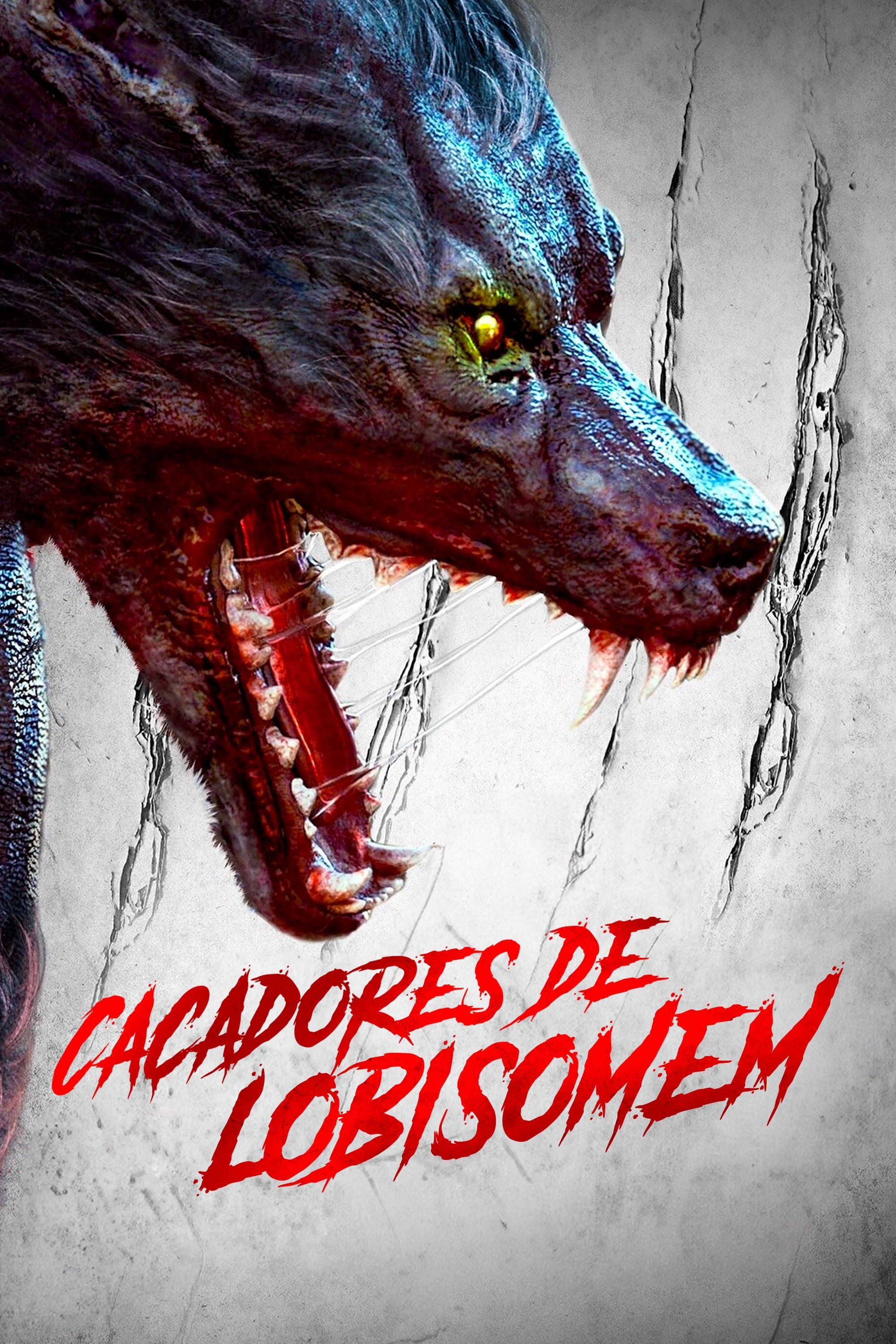 Poster de Caçadores de Lobisomem