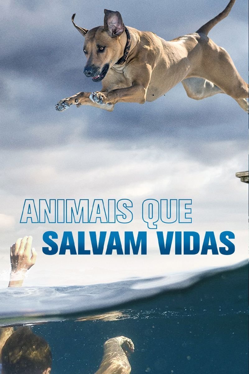Poster de Animais Que Salvam Vidas