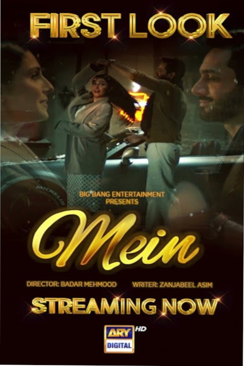 Poster de Mein