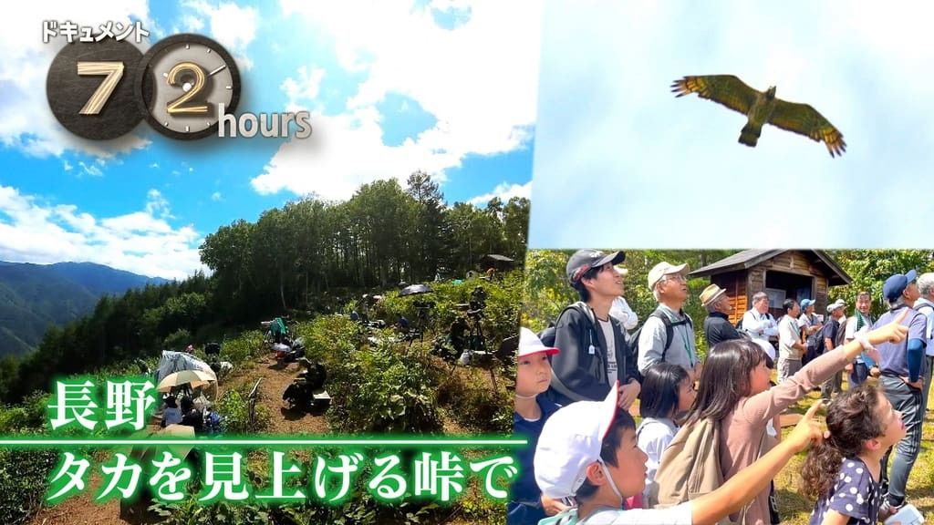 Nagano, at the mountain pass looking up at the hawks