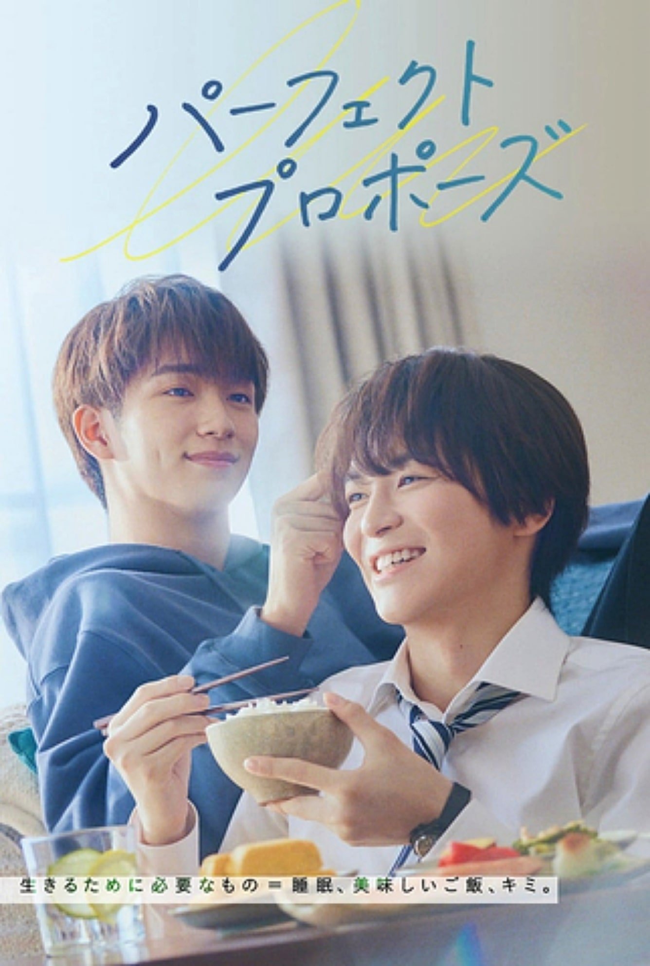 Poster de Perfect Propose