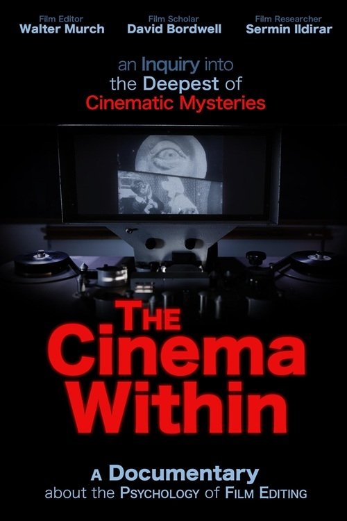 Poster de O Cinema Por Dentro