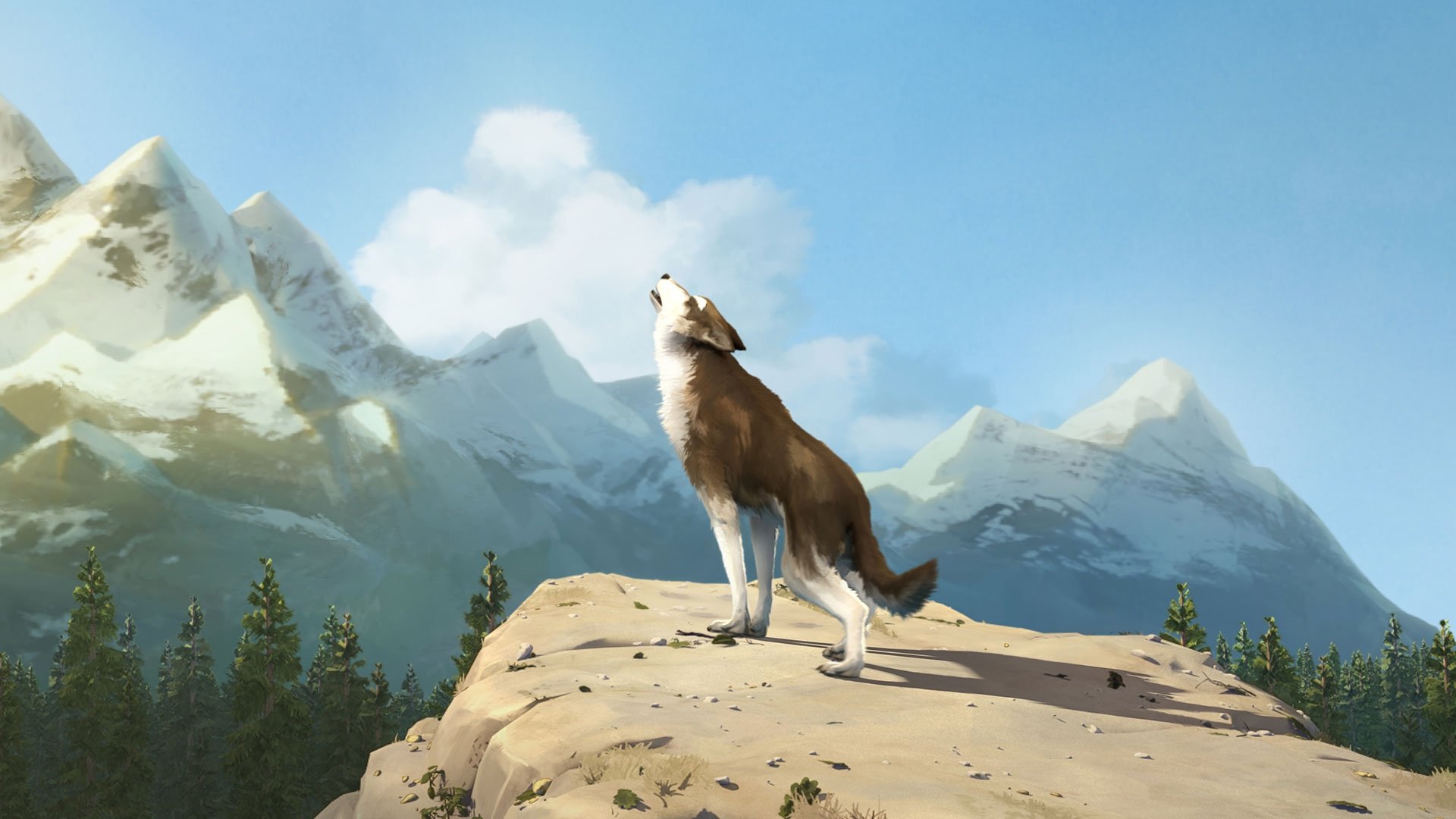 Backdrop image