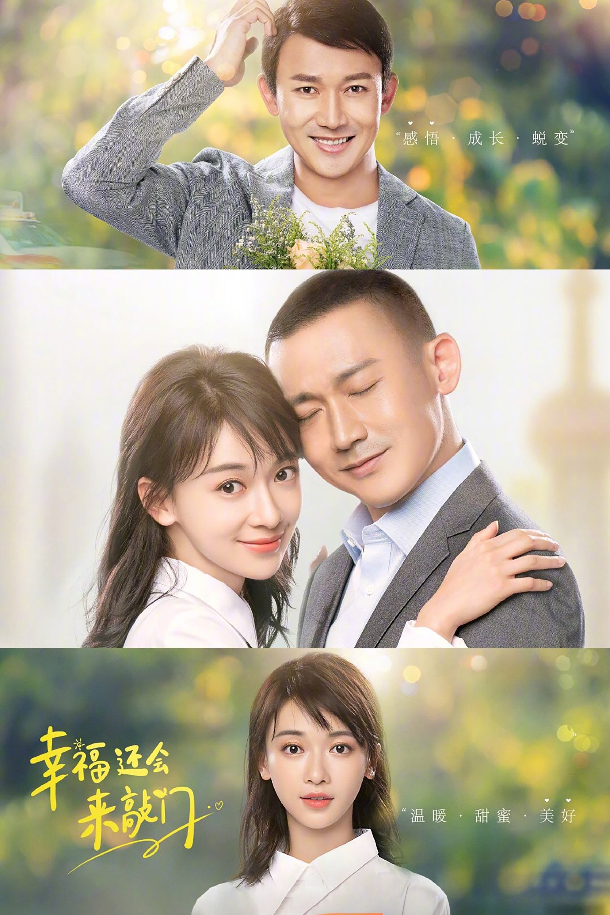 Poster de Happiness Will Come Knocking Again