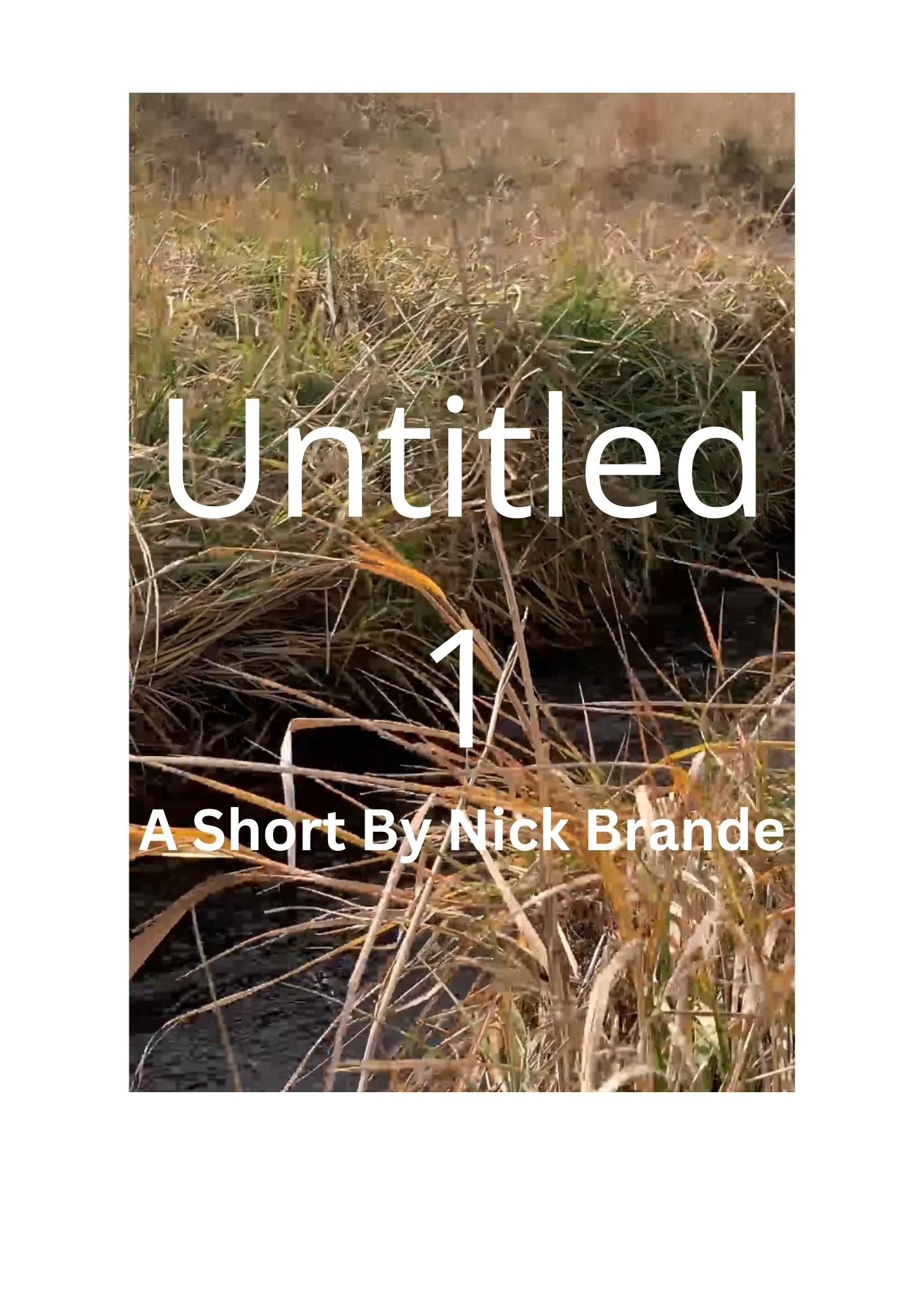 Poster de Untitled 1