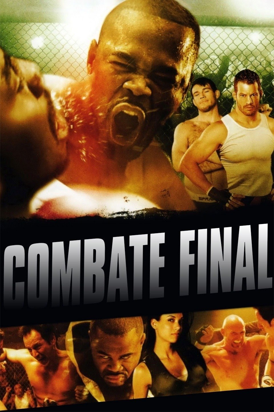 Poster de Combate Final