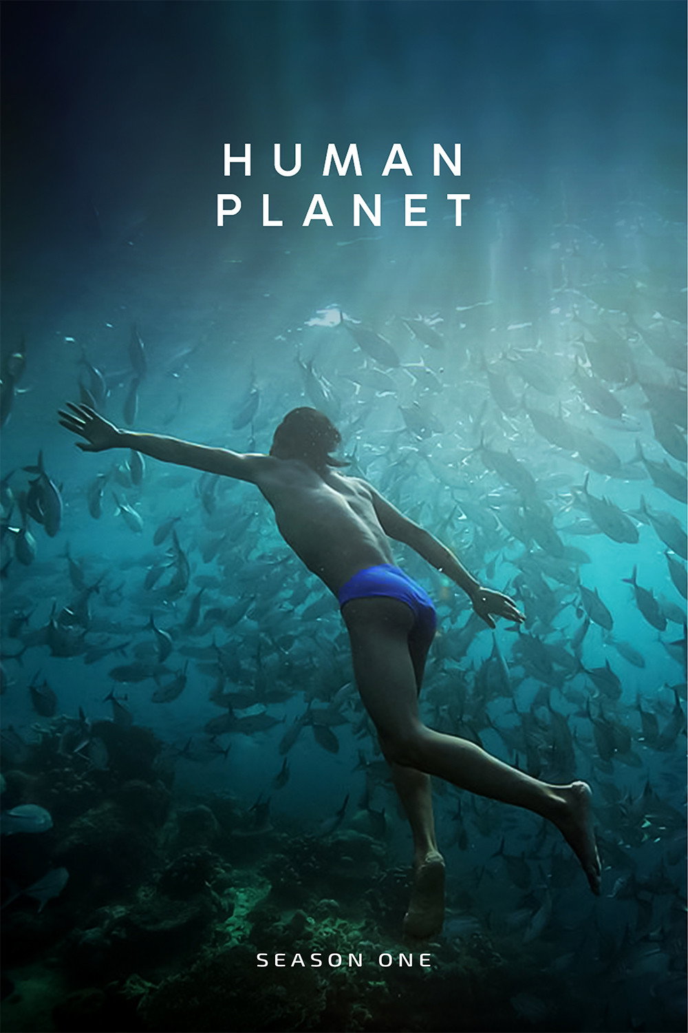 Temporada 1