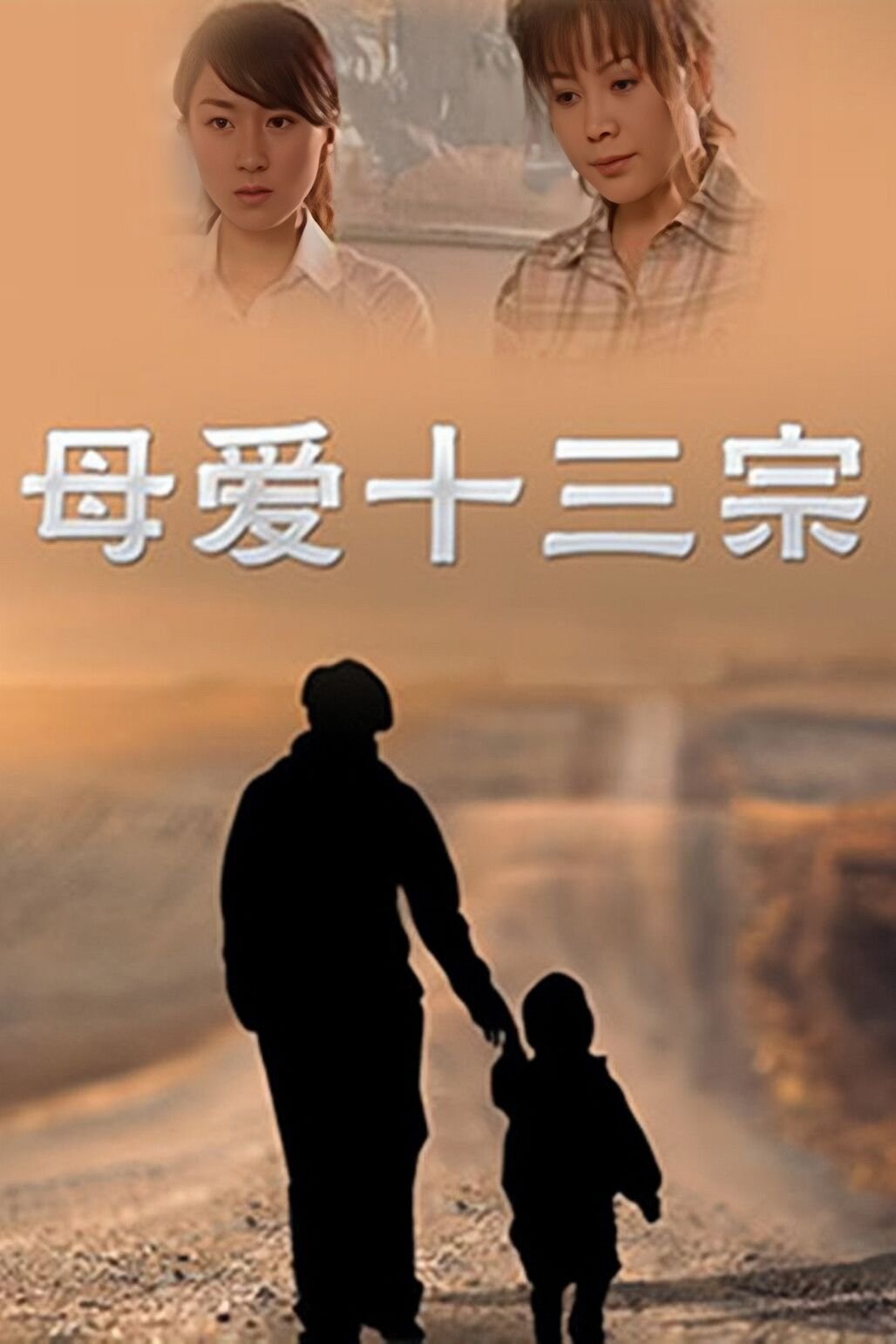 Poster de 母爱十三宗