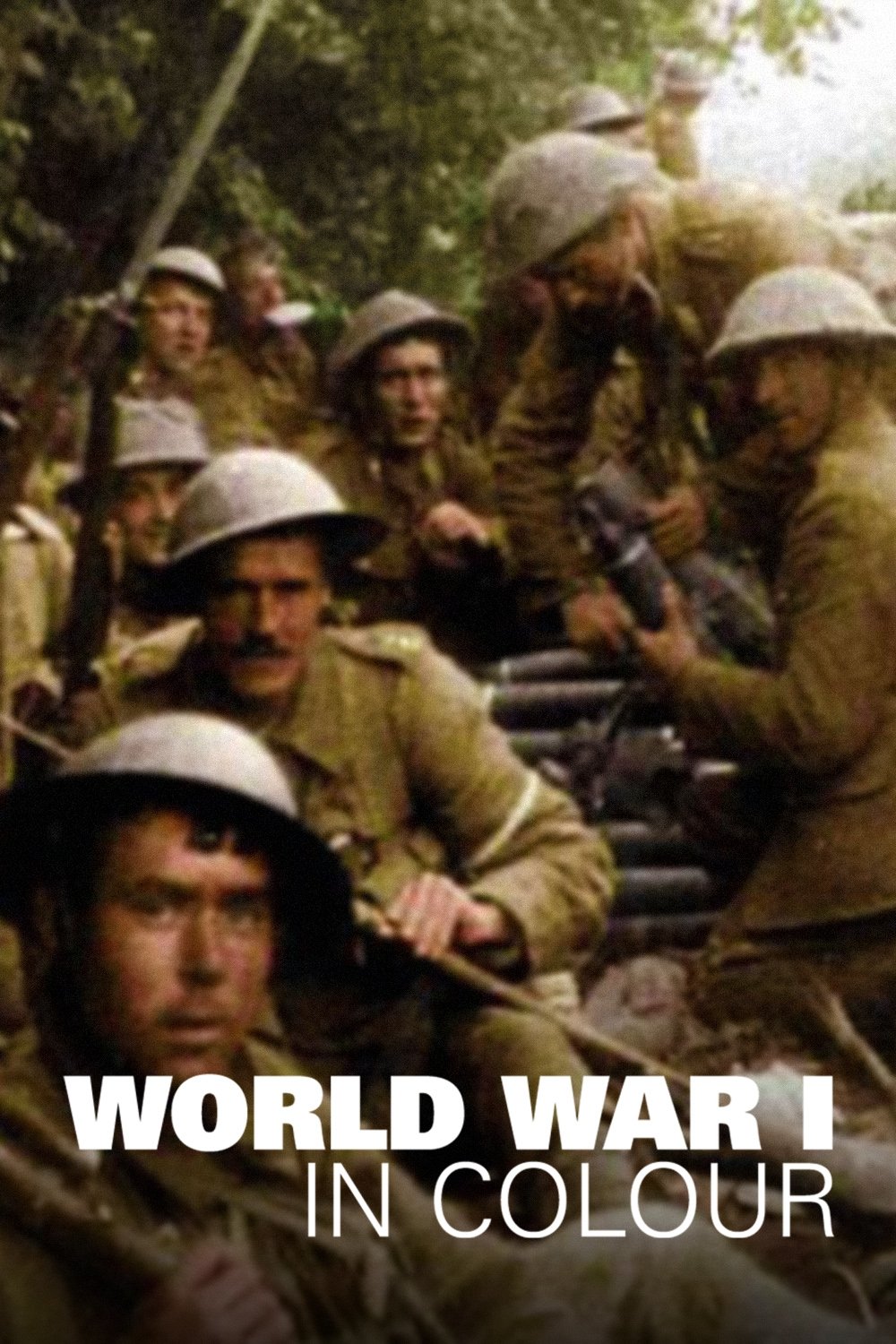 Poster de World War 1 in Colour