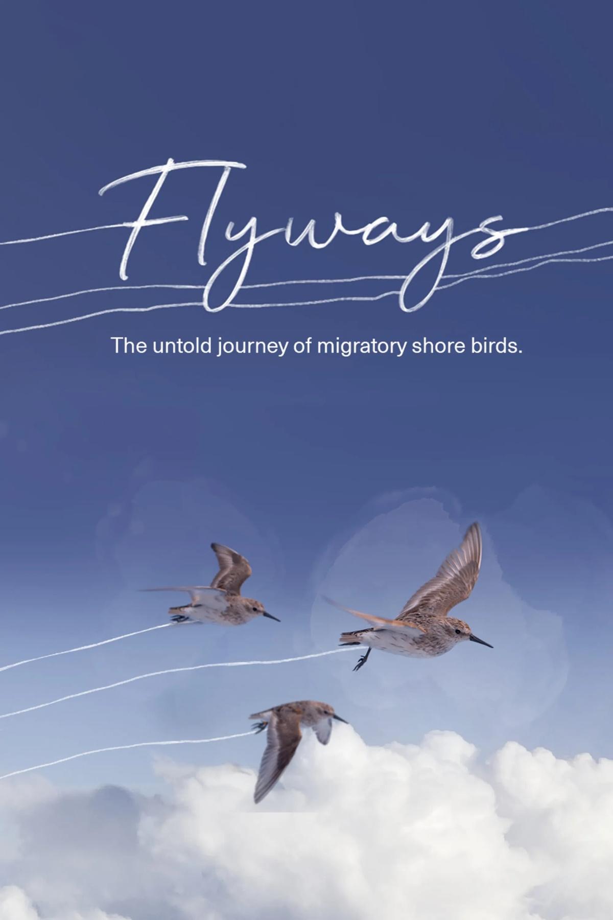 Poster de Flyways