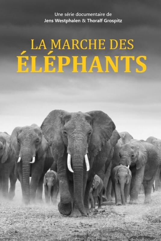 Poster de Elefanten hautnah