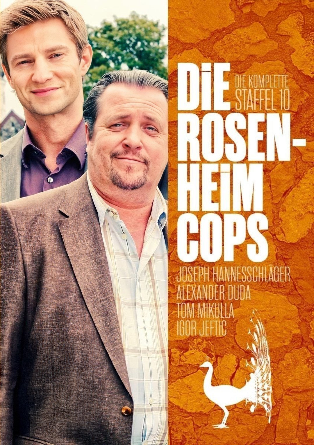 Poster de Temporada 10