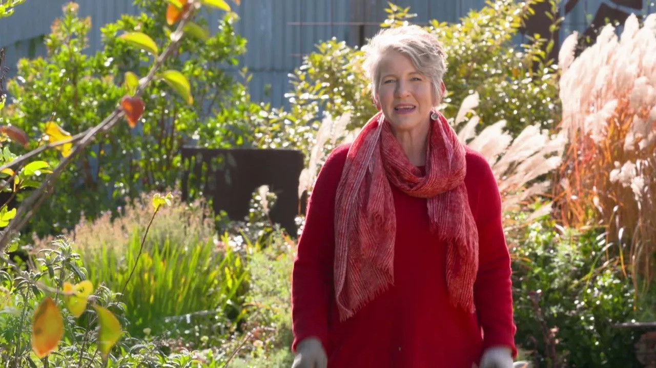 Episode 10 Bromeliads, Container Combos & Spider Love