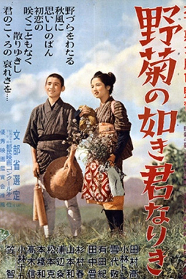 Poster de 野菊の如き君なりき