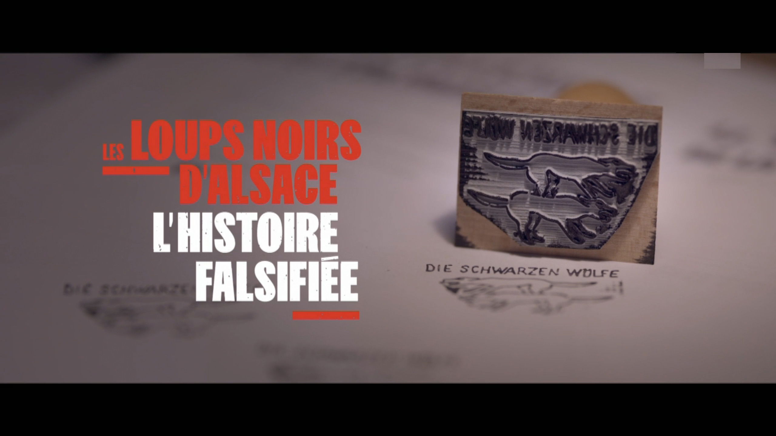 1975-1995 : le choix des armes