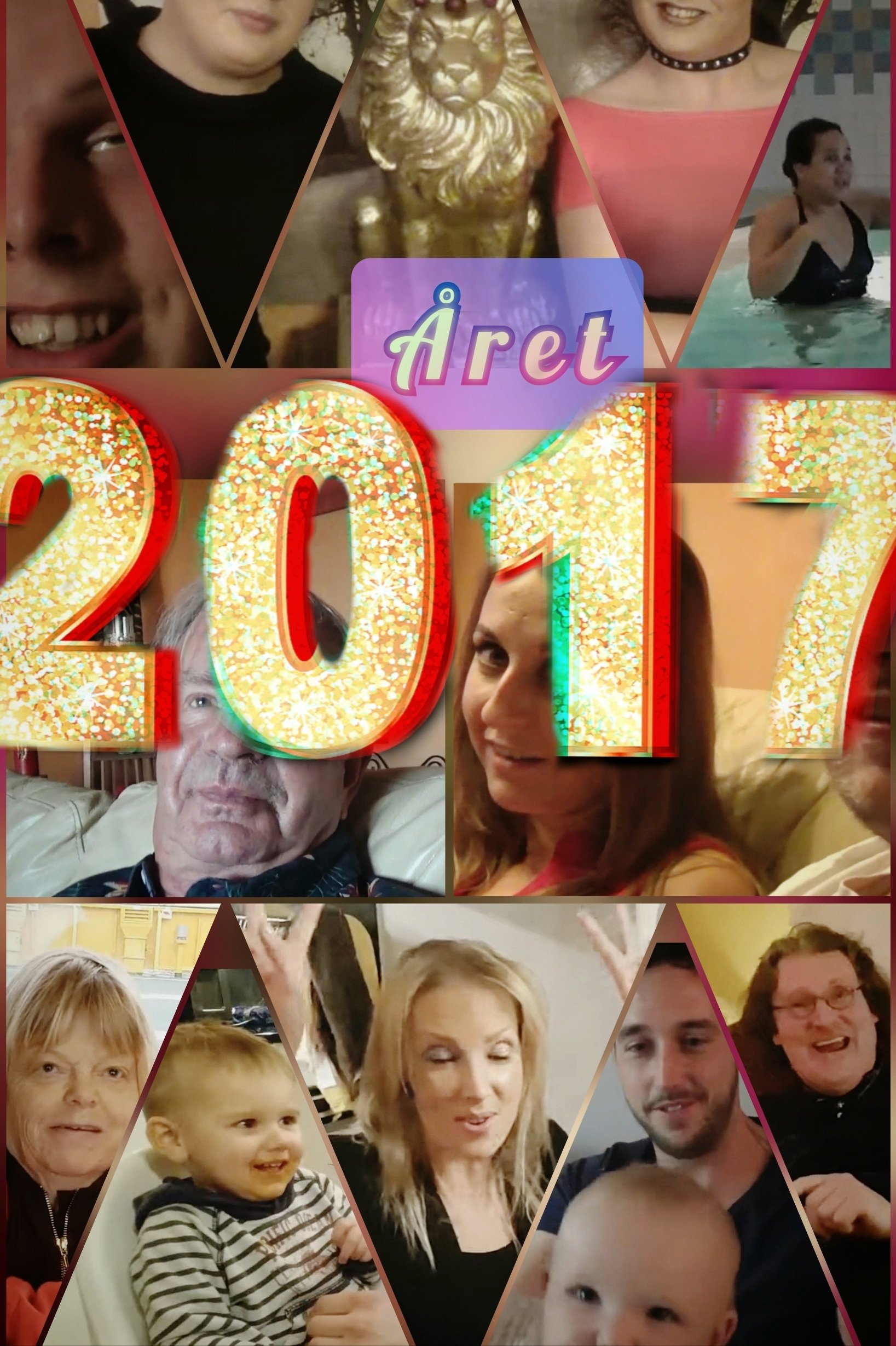 Poster de Mini-Serie: Året 2017