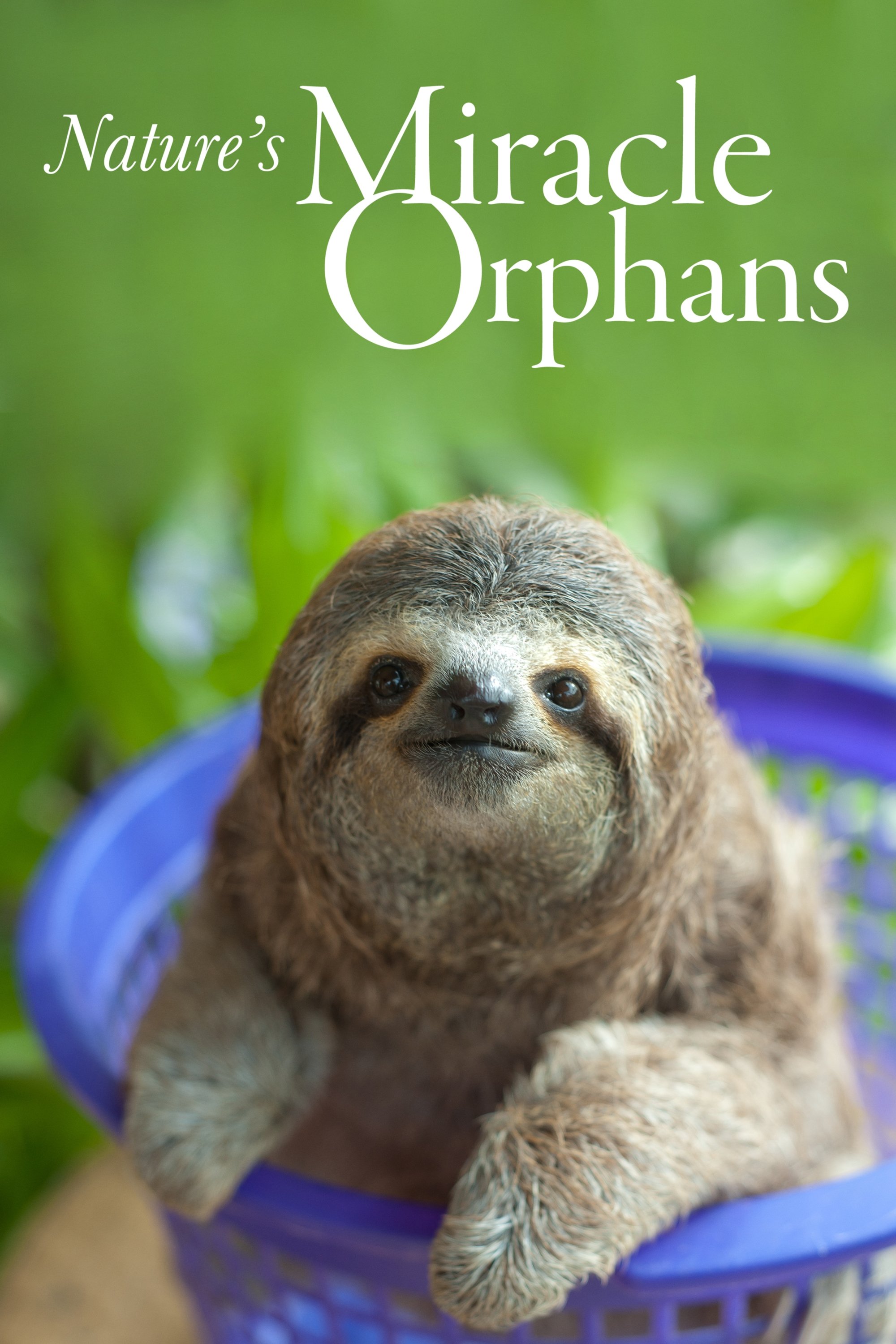 Poster de Nature's Miracle Orphans