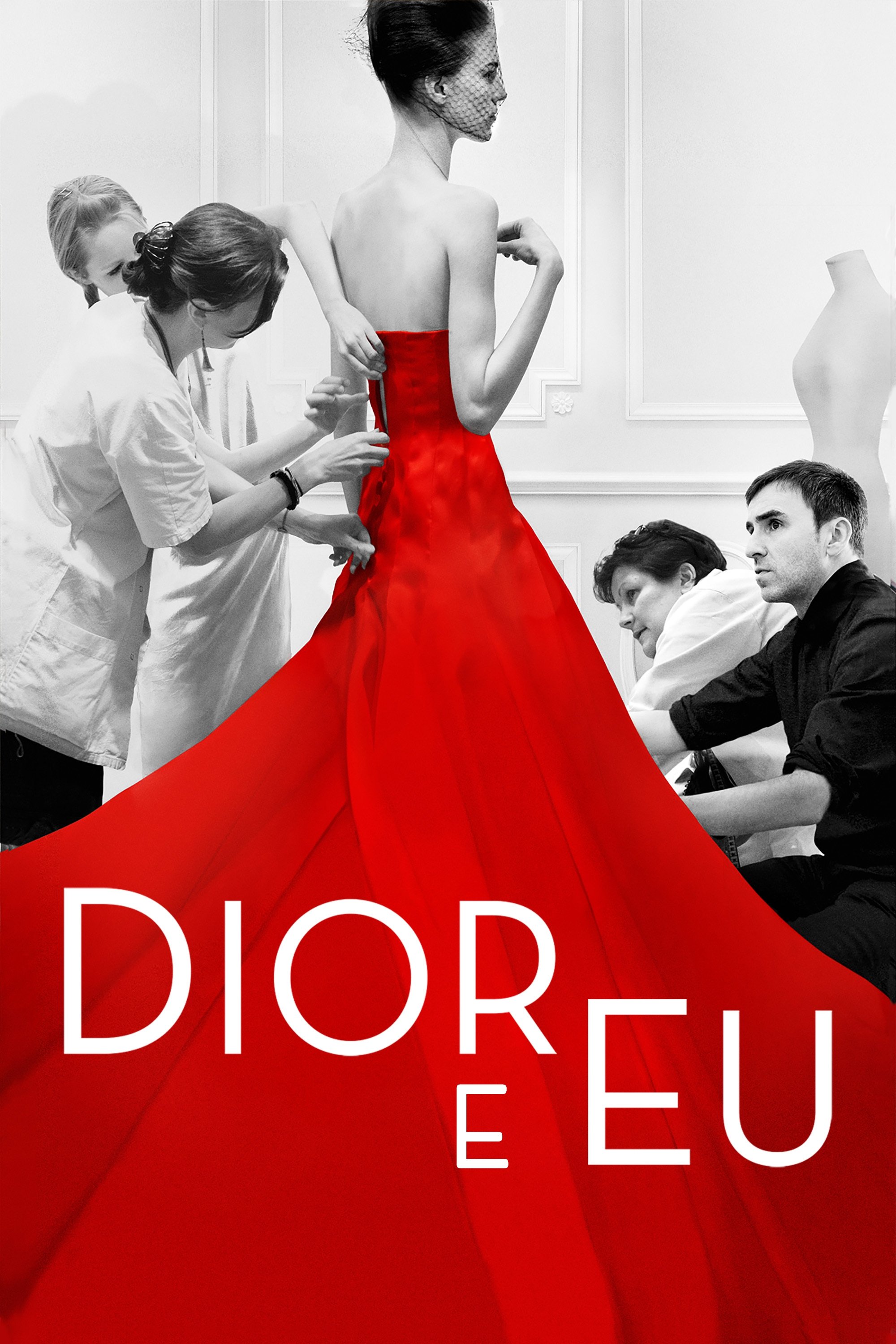 Poster de Dior e Eu