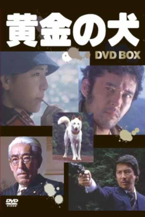 Poster de 黄金の犬