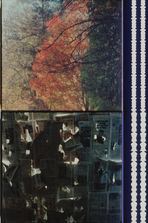 Poster de Cheap Imitations Part V/VI: Terms of Analysis