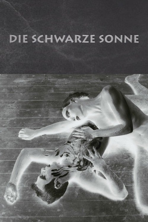 Poster de Die schwarze Sonne