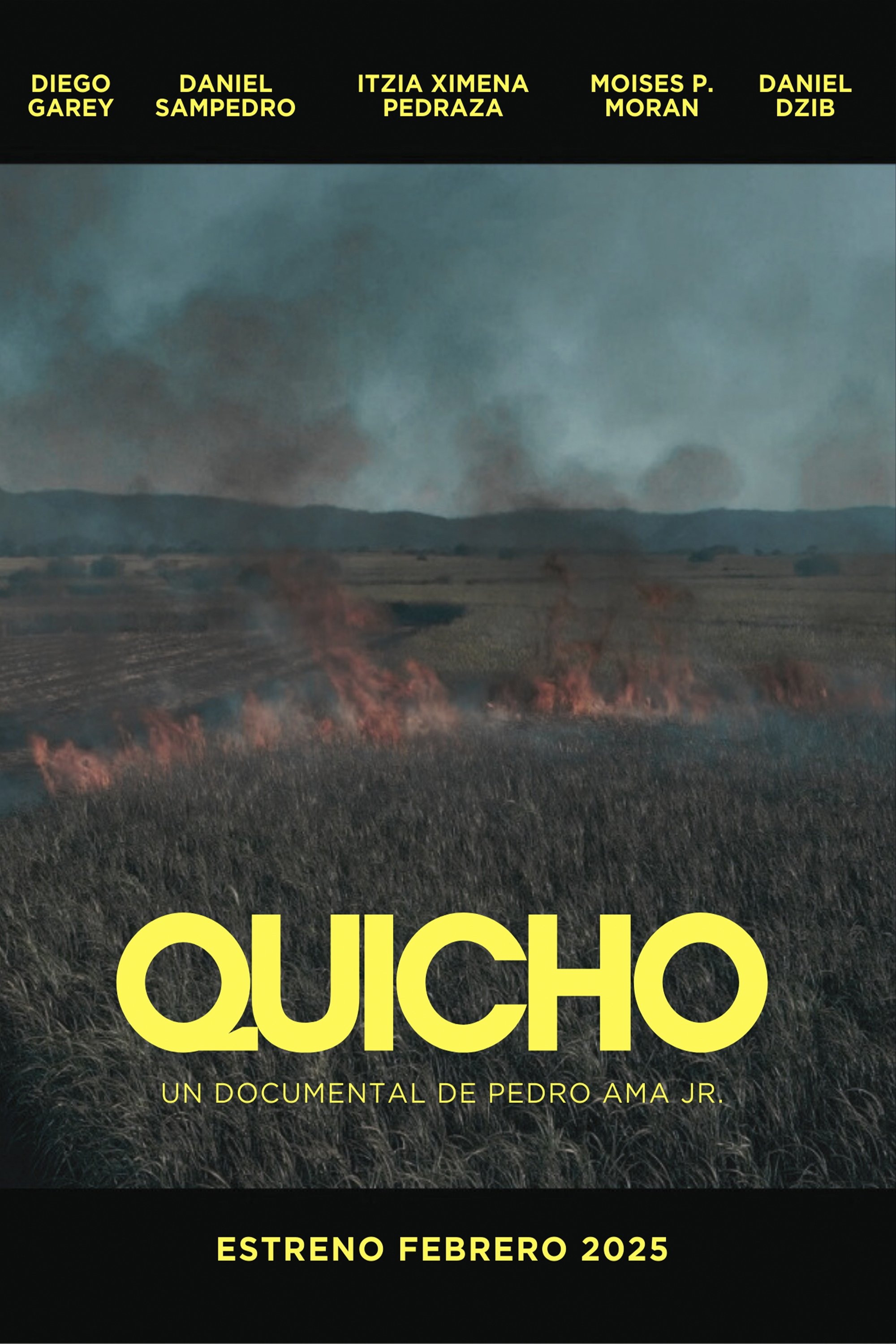 Poster de Quicho