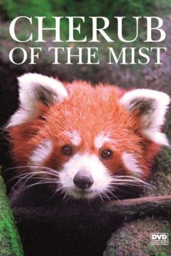 Poster de Cherub of the Mist