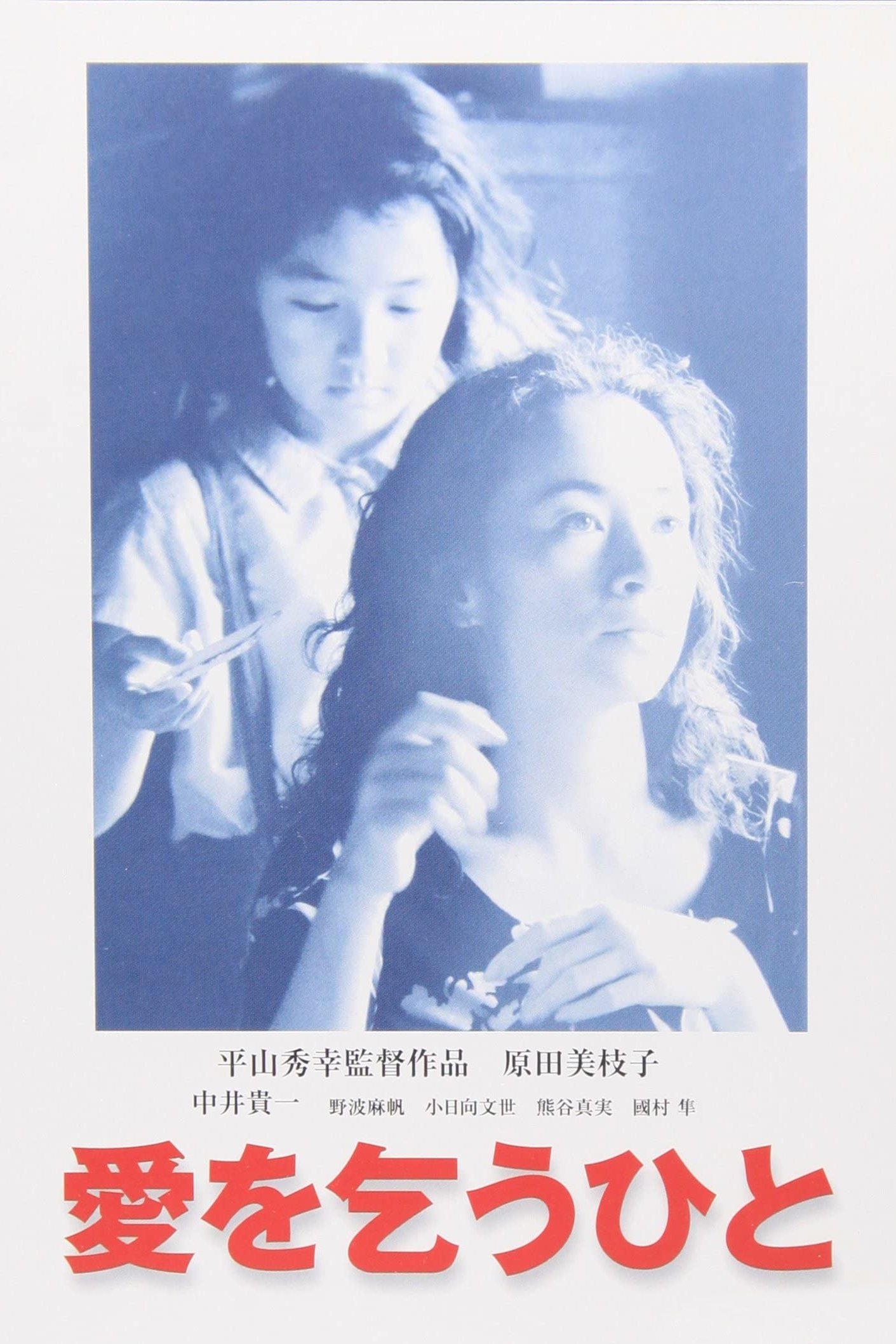 Poster de 愛を乞うひと