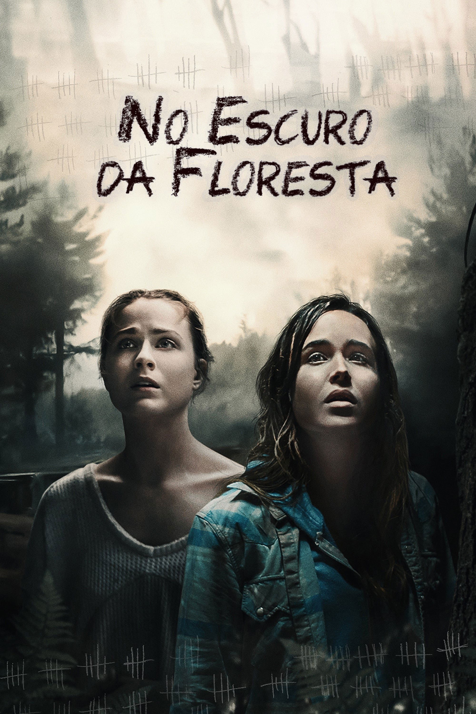 Poster de No Escuro da Floresta