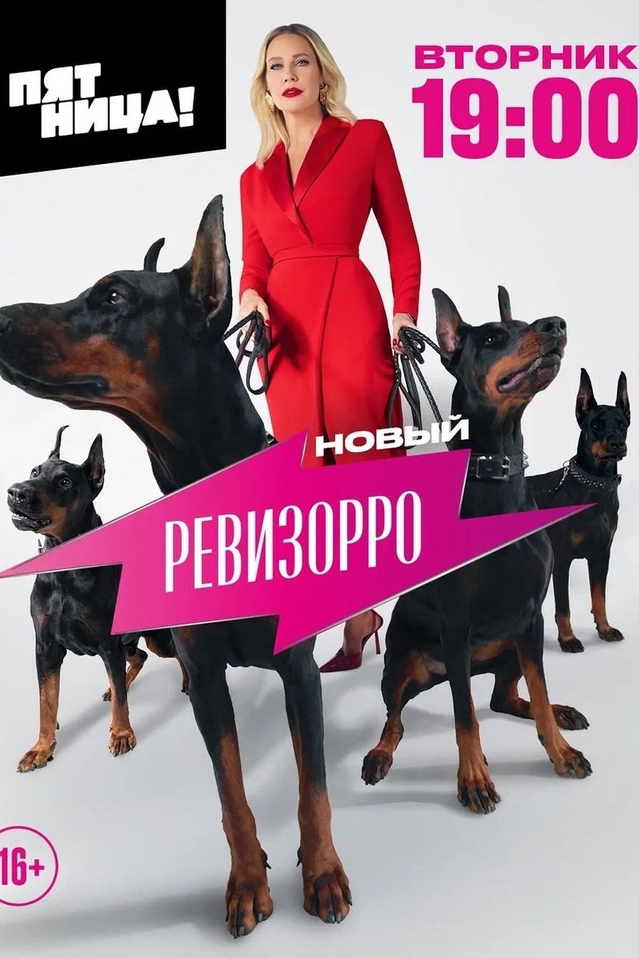 Poster de Новый Ревизорро