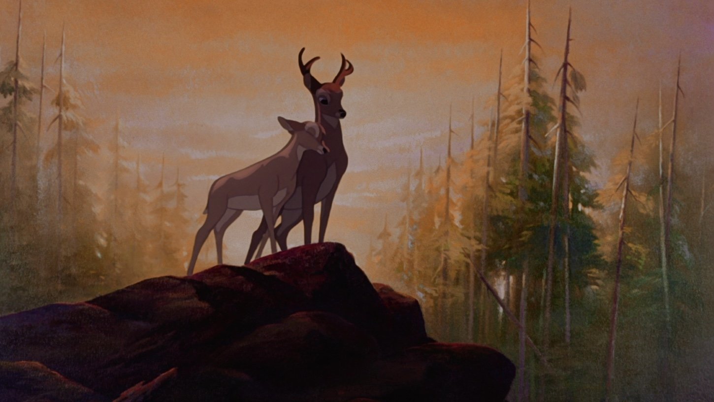 backdrops