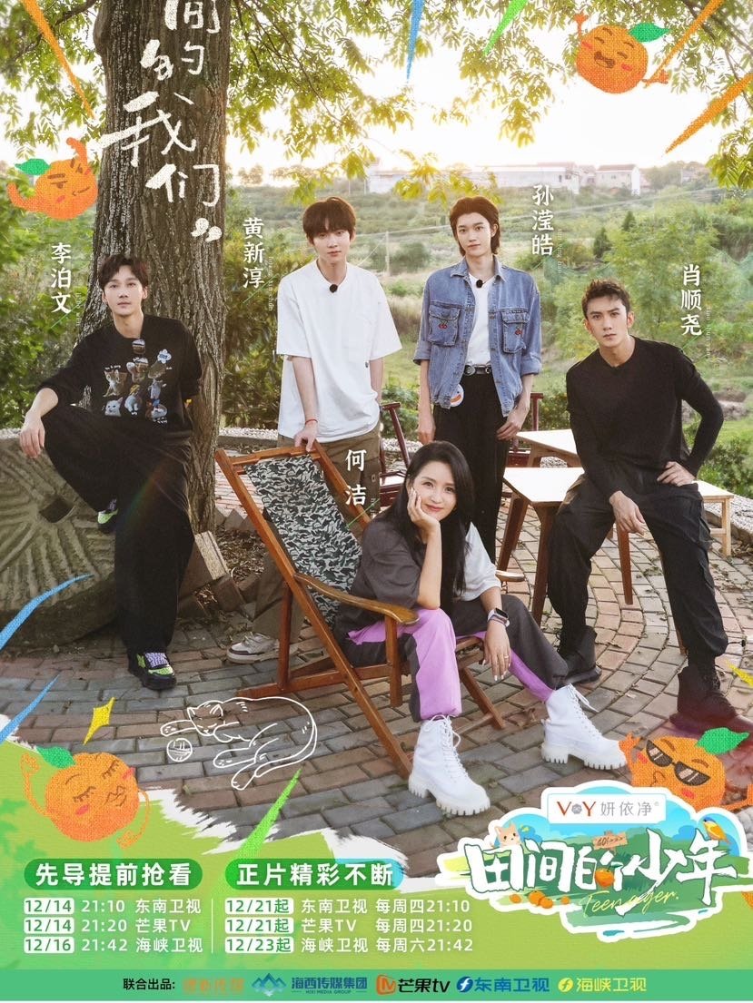 Poster de 田间的少年