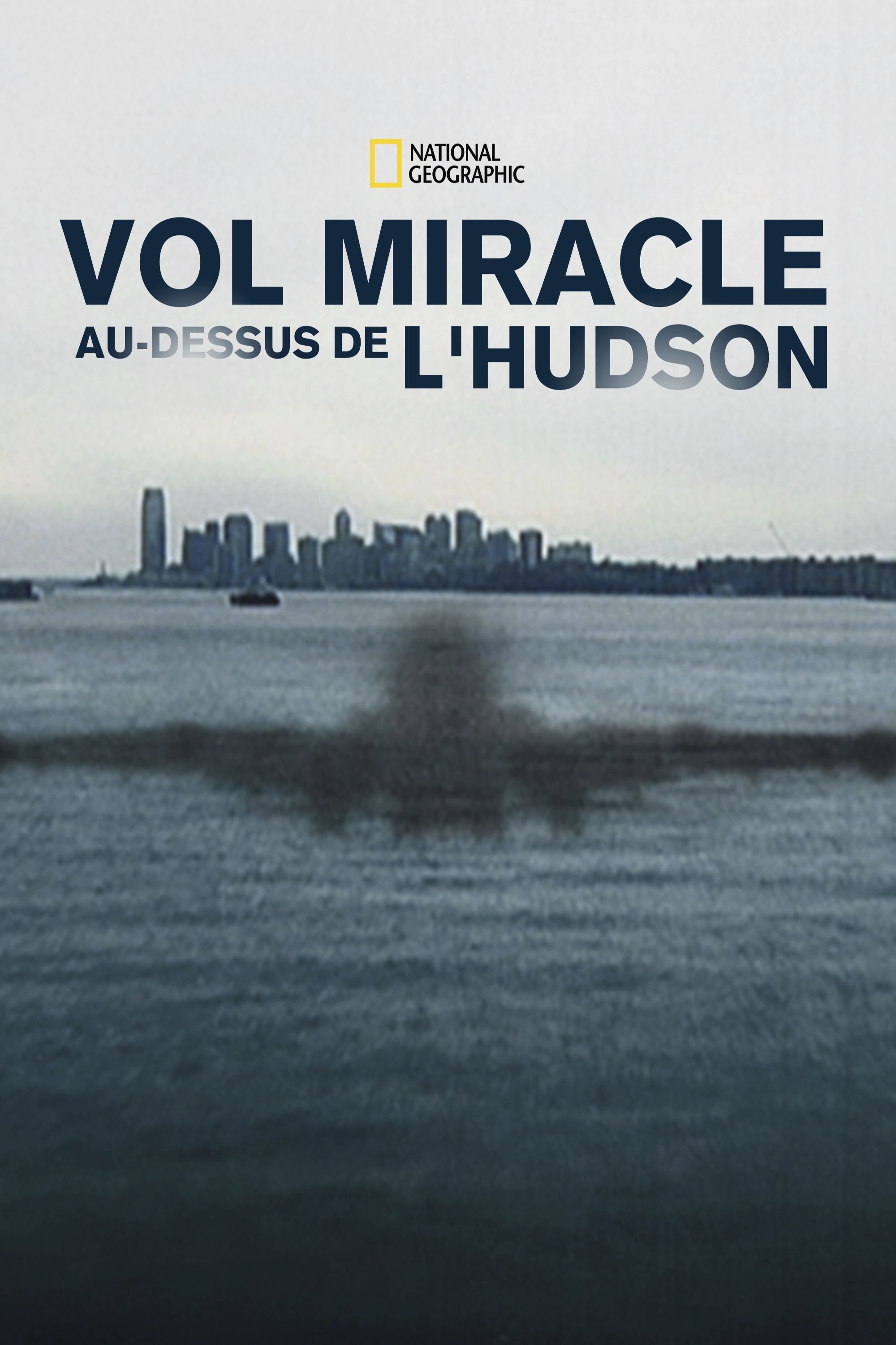 Affiche du film Miracle Landing on the Hudson