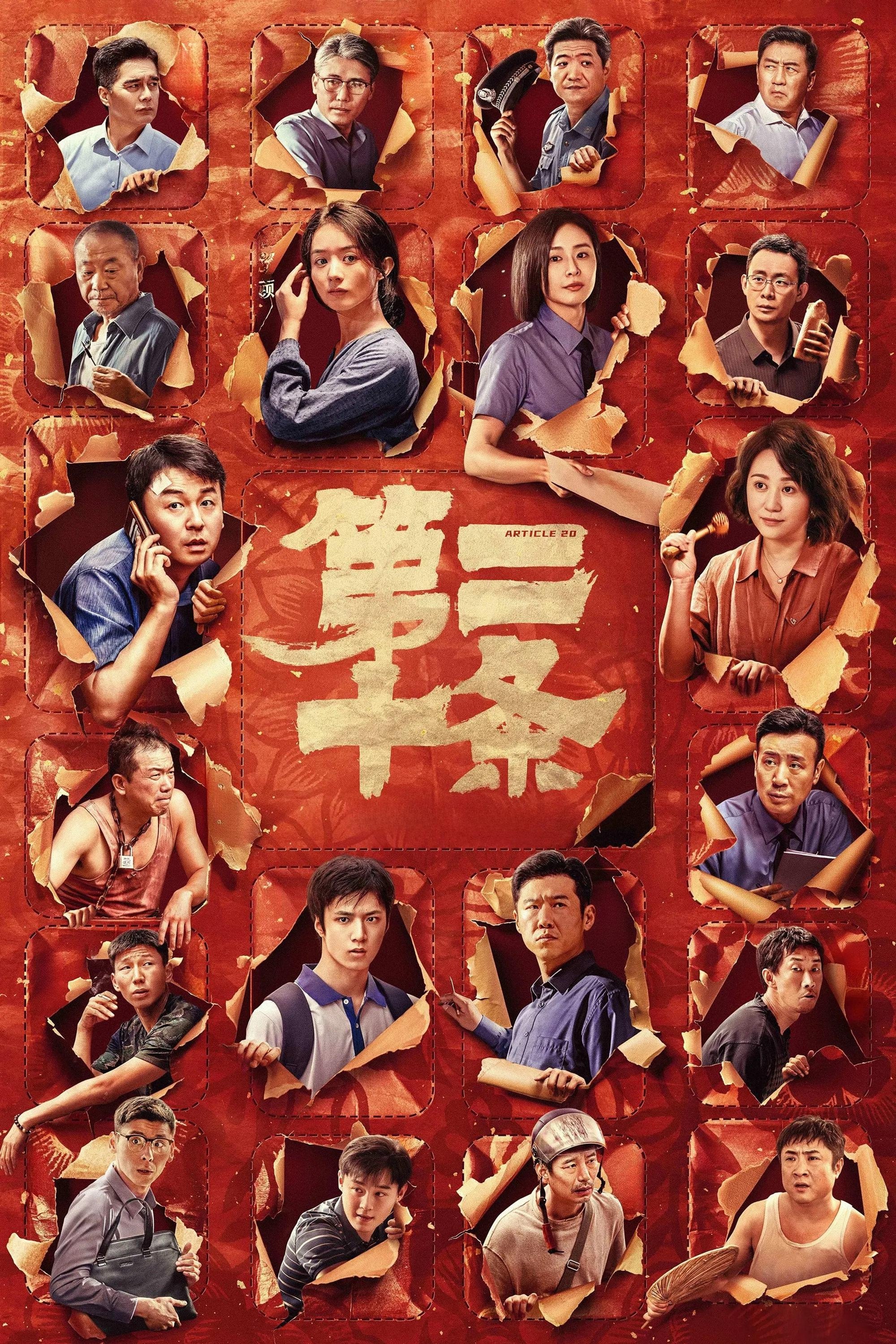 Poster de 第二十条