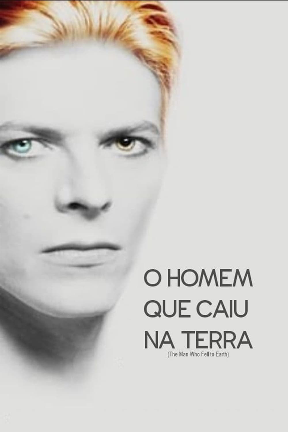 Poster de O Homem Que Caiu na Terra
