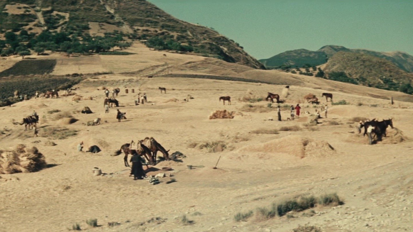 Backdrop image