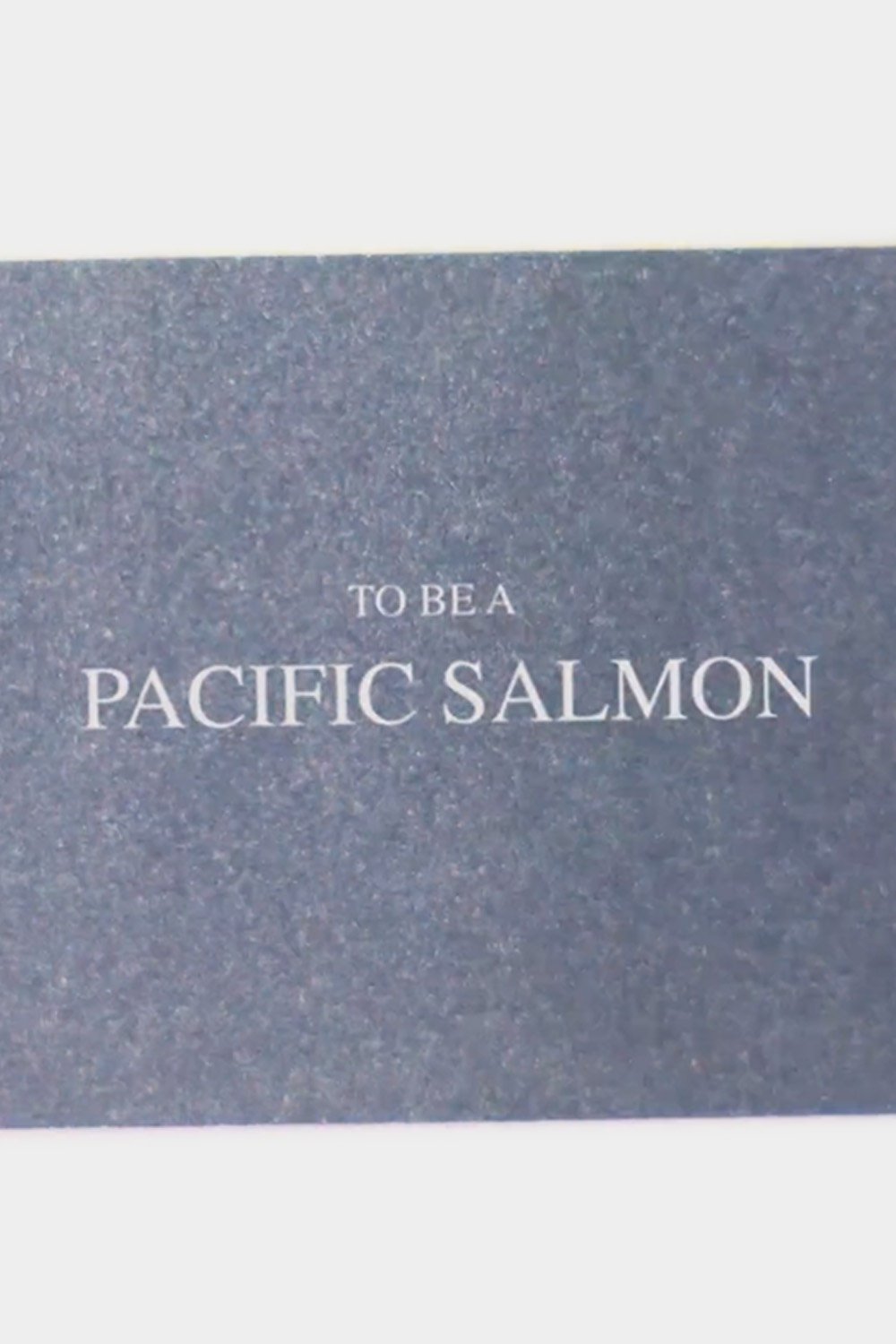 Poster de To Be A Pacific Salmon