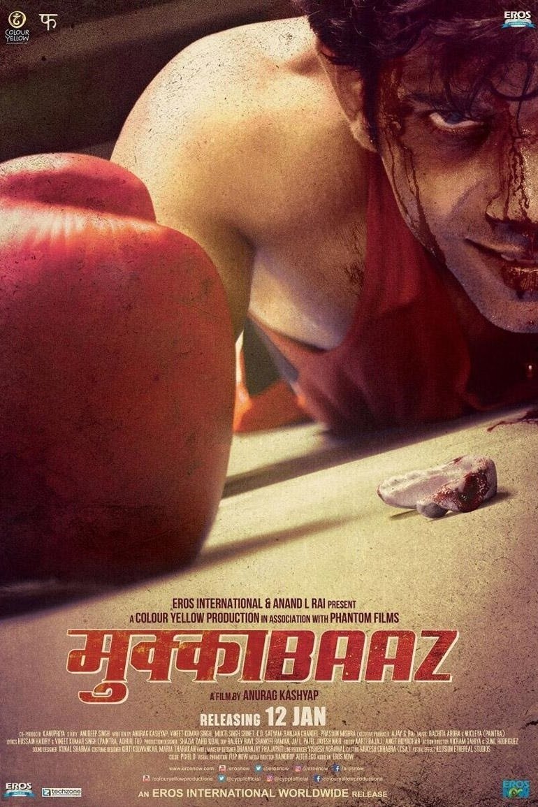 Poster de O Lutador